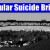 The 4 Most Popular Suicide Bridge Destinations