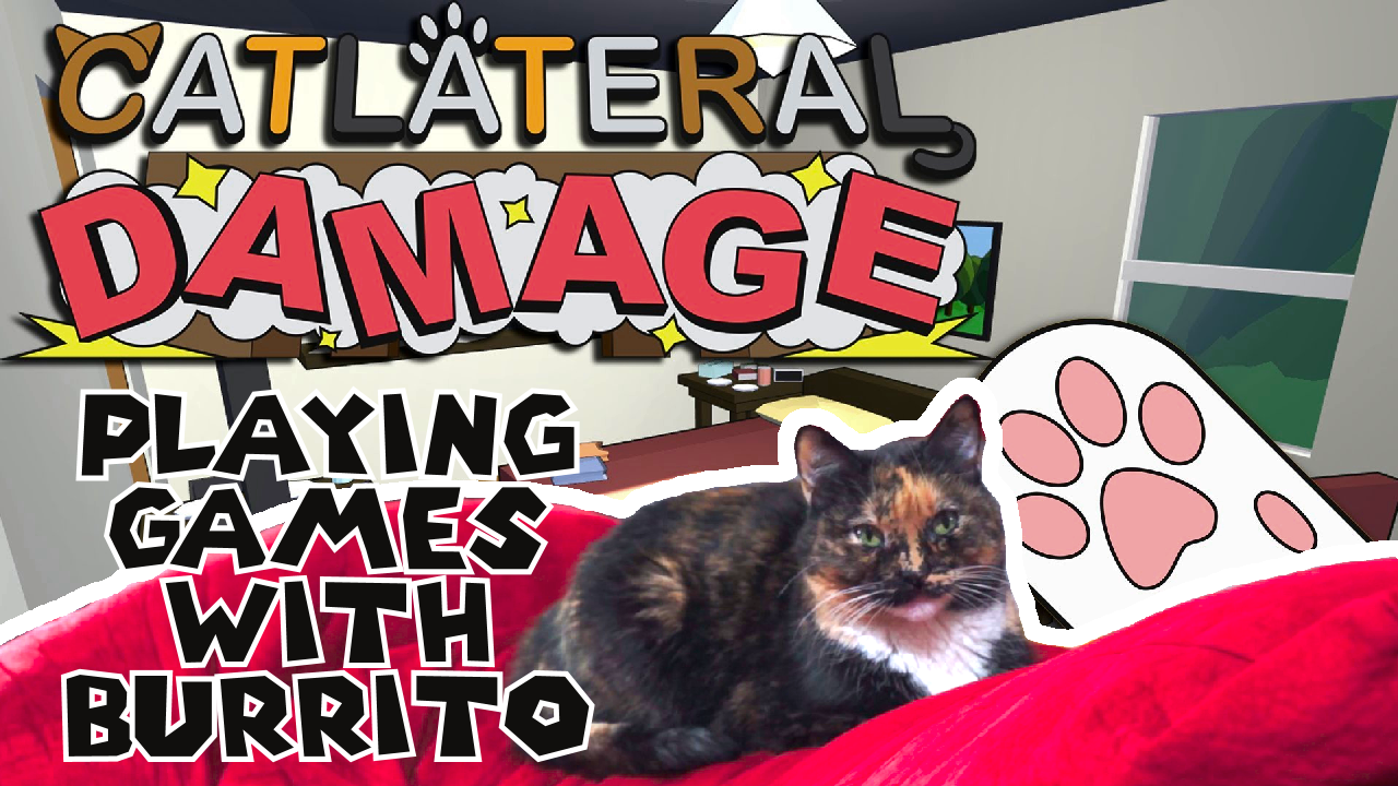 Playing CATlateral Damage with my Dumb Cat